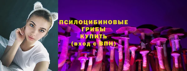 ешки Вяземский