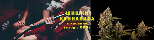 прущие крисы Вязники