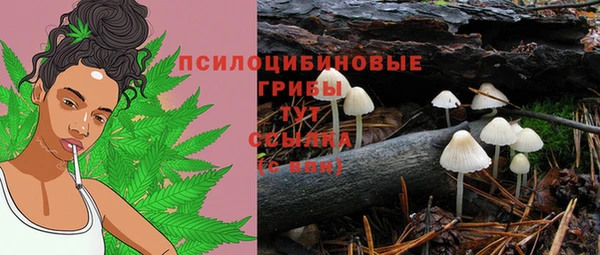 не бодяженный Волоколамск