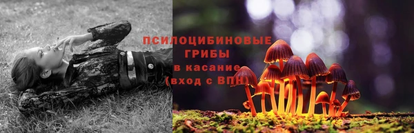 гидропоника Вязьма