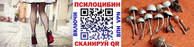 Галлюциногенные грибы GOLDEN TEACHER  Щигры 